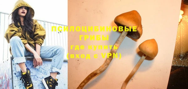 винт Арсеньев