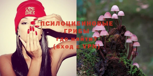 винт Арсеньев